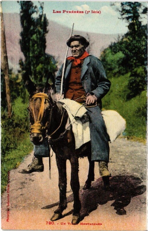 Carte postale ancienne Un Voyageur Montagnard
