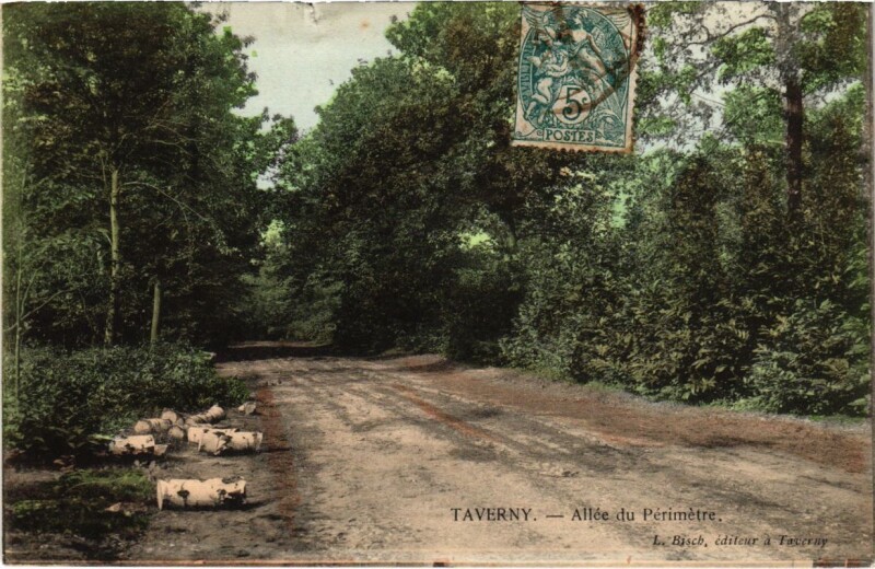 Carte postale ancienne Taverny - Allee du Perimetre à Taverny