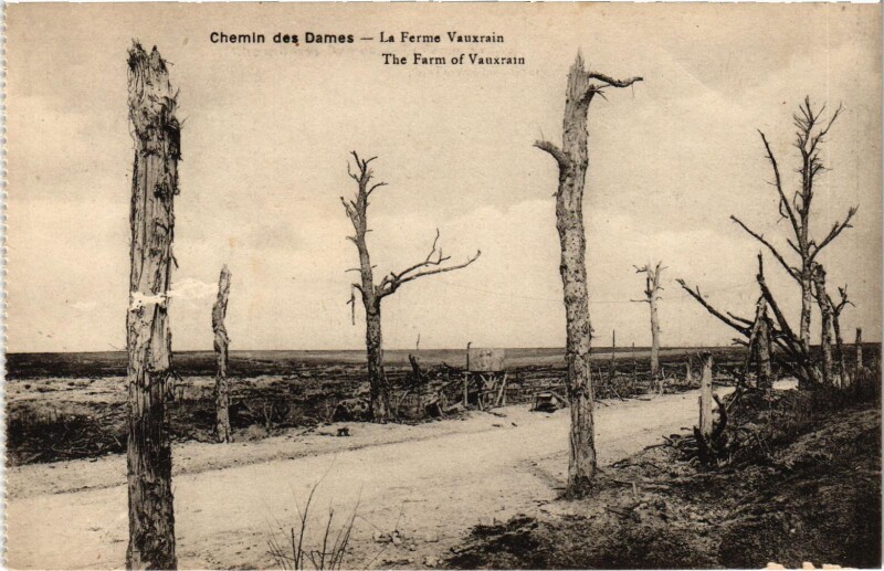 Carte postale ancienne Militaire Chemin des Dames - Le Ferme Vauxrain