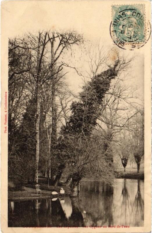 Carte postale ancienne Coulommiers Les Capucins Les Cygnes au bord de l'eau à Coulommiers