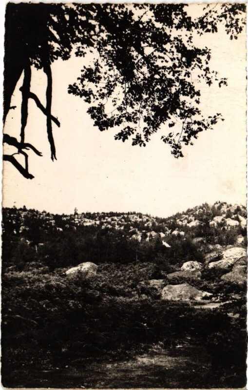Carte postale ancienne Barbizon Les Roches d'Apremont à Barbizon