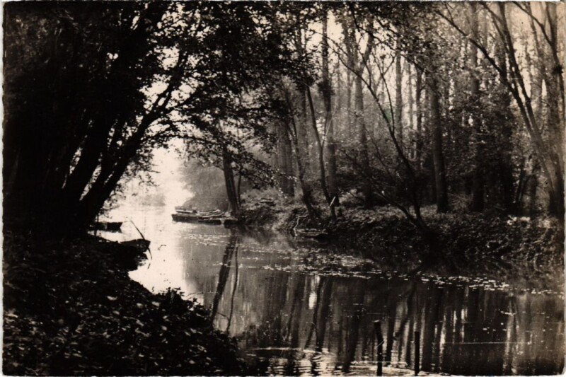 Carte postale ancienne Chelles Les Iles Mortes à Chelles