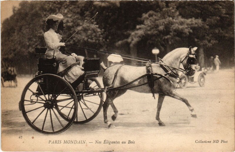 Carte postale ancienne Paris-Mondain - Nos Elégantes au Bois à Paris 16e