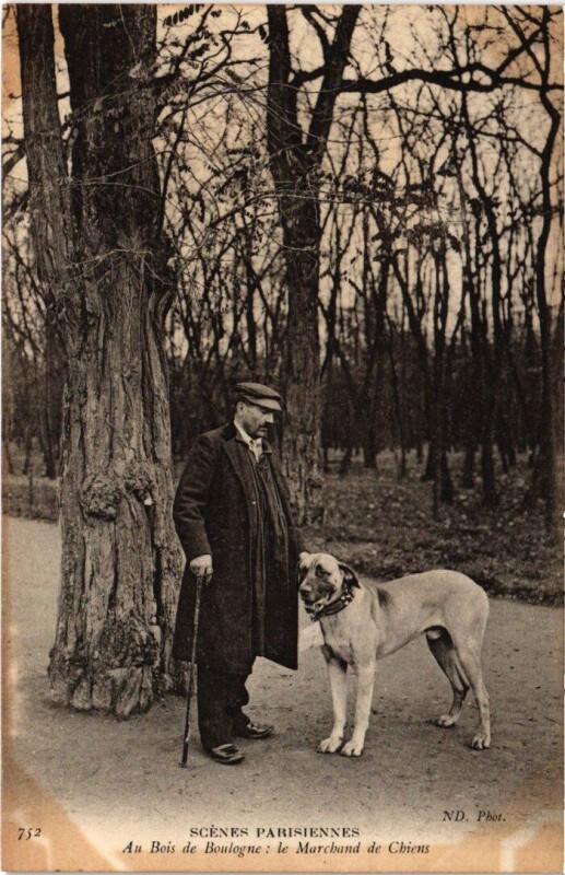 Carte postale ancienne Au Bois de Boulogne : le Marchand de Chiens à Paris 16e