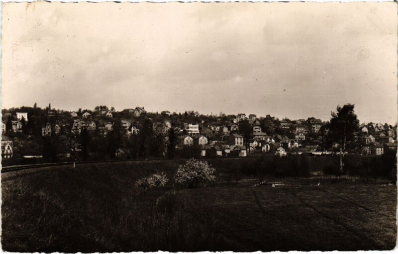 Carte postale ancienne Esbly Le Chateau à Esbly