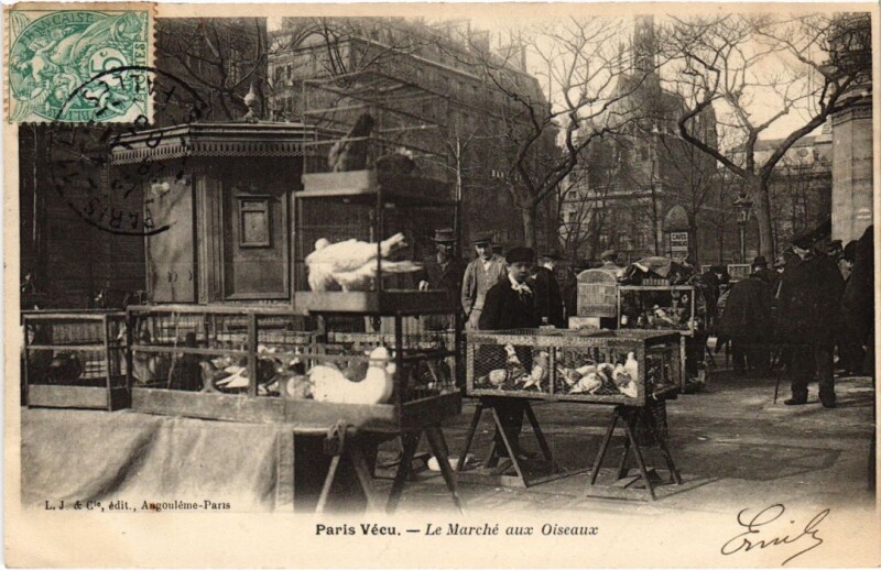 Carte postale ancienne Le Marché aux Oiseaux à Paris 4e