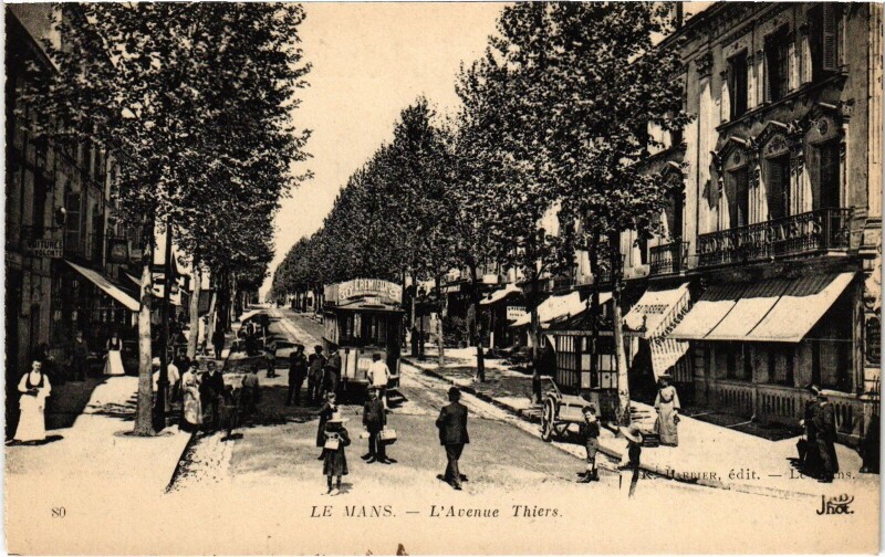 Carte postale ancienne Le Mans - L'Avenue Thiers au Mans