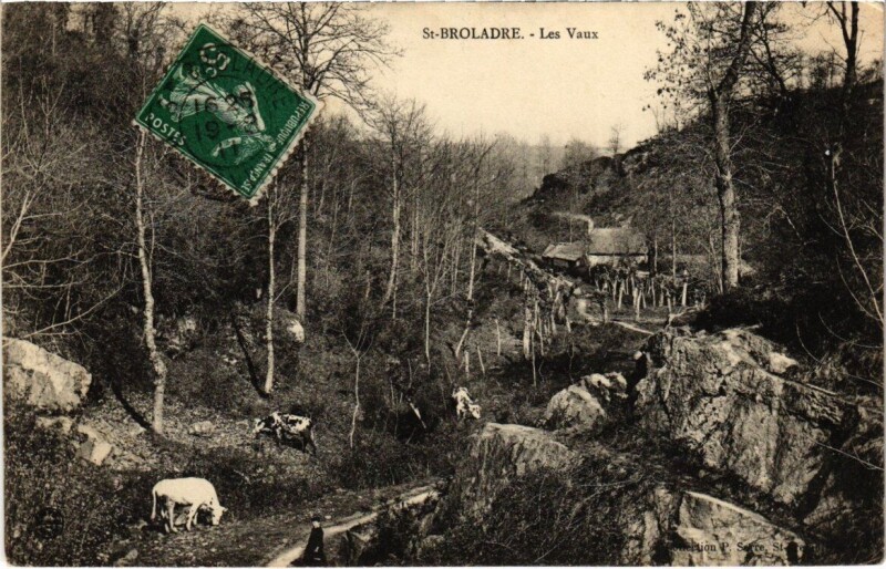 Carte postale ancienne Saint-Broladre - Les Vaux à Saint-Broladre
