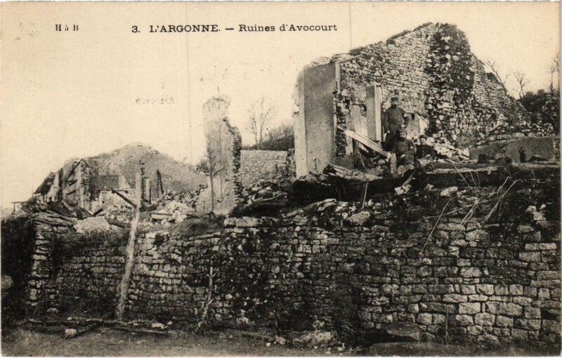 Carte postale ancienne Avrocourt - Ruines d'Avocourt - L'Argonne à Avocourt
