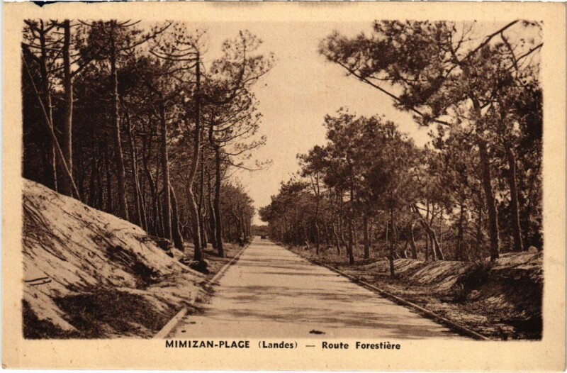 Carte postale ancienne Mimizan-Plage - Route Forestiére à Mimizan
