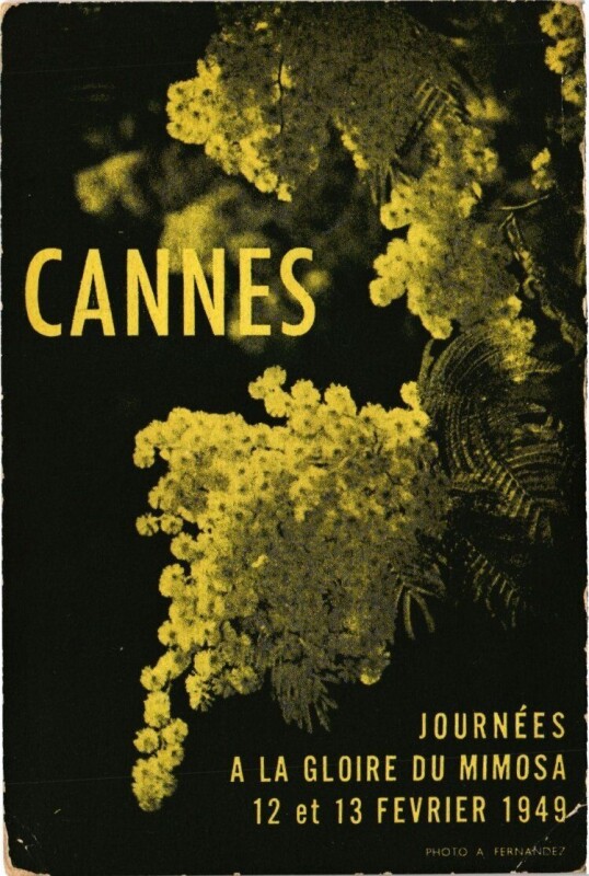 Carte postale ancienne Cannes à Cannes