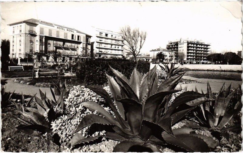 Carte postale ancienne Antibes - Le bord de mer et sa végétation exotique à Antibes