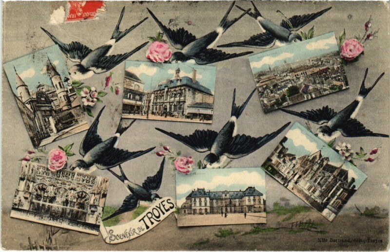 Carte postale ancienne Troyes - Collage oiseaux à Troyes