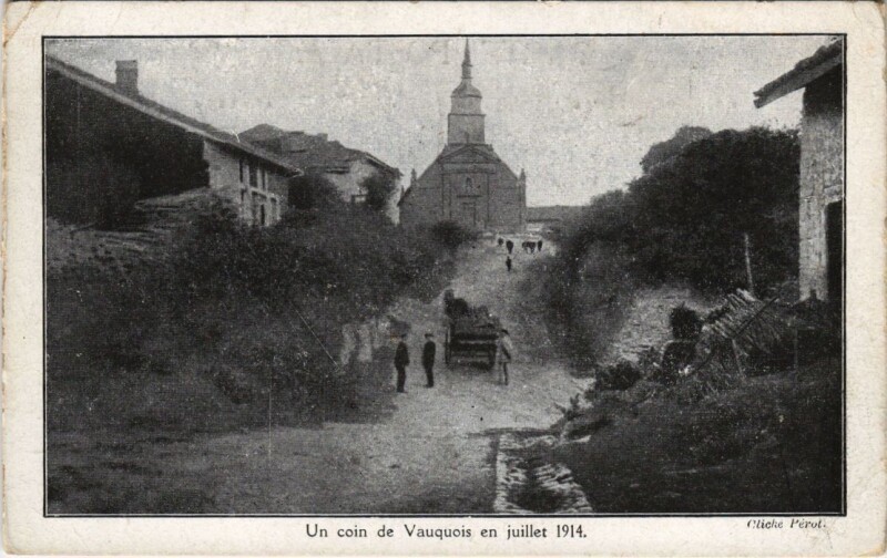 Carte postale ancienne Un coin de vauquois en juillet à Vauquois