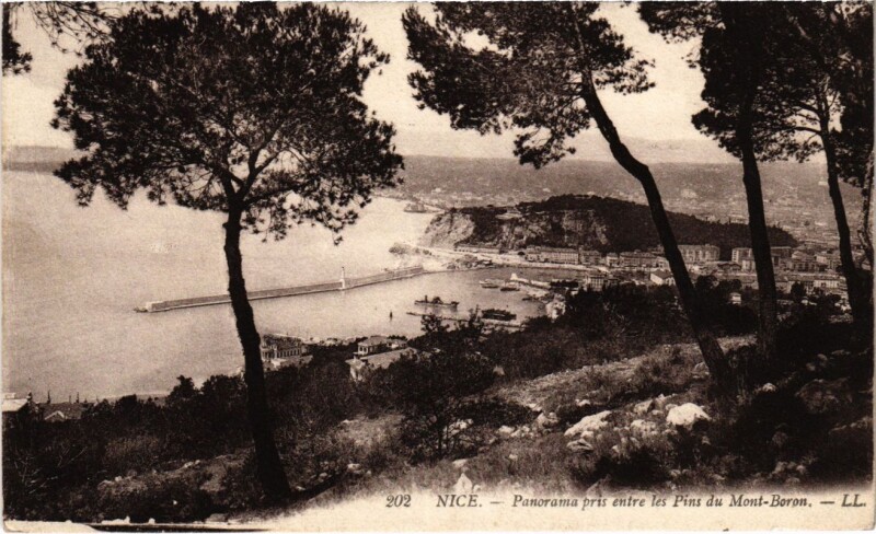 Carte postale ancienne Nice- panorama France