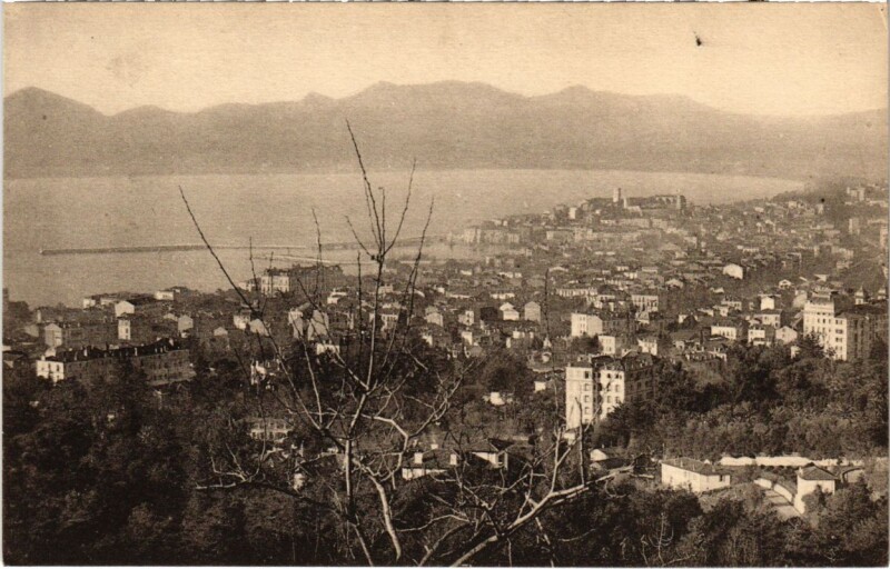 Carte postale ancienne Nice- vue generale France