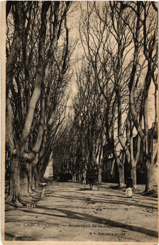 Carte postale ancienne Carcassonne Boulevard de la Prefecture France à Carcassonne