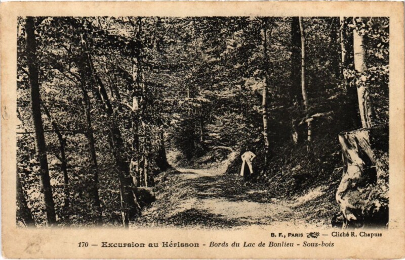 Carte postale ancienne Excursion au Herisson, Bords du Lac de Bonlieu France à Bonlieu