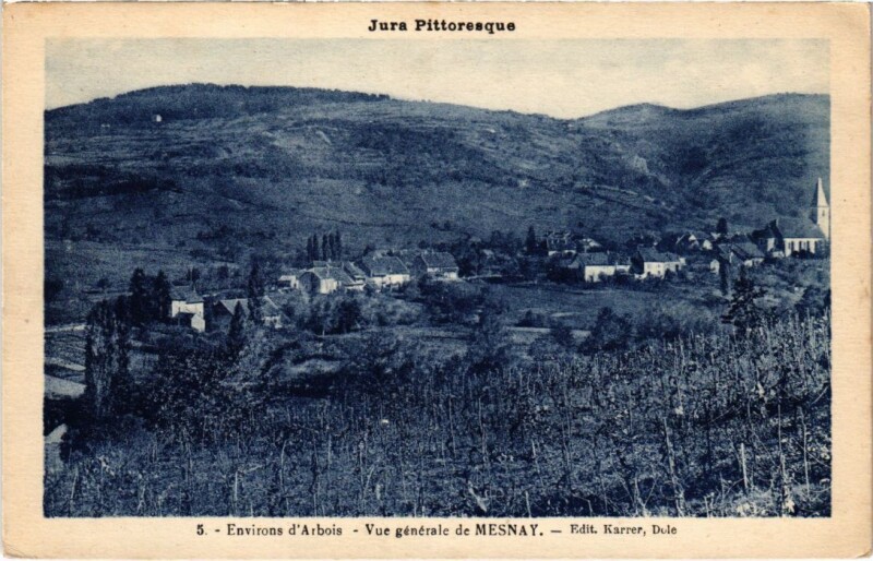 Carte postale ancienne Mesnay- Vue generale France à Mesnay