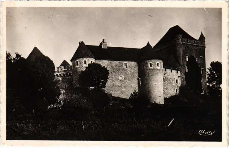 Carte postale ancienne Le Chateau du Pin France