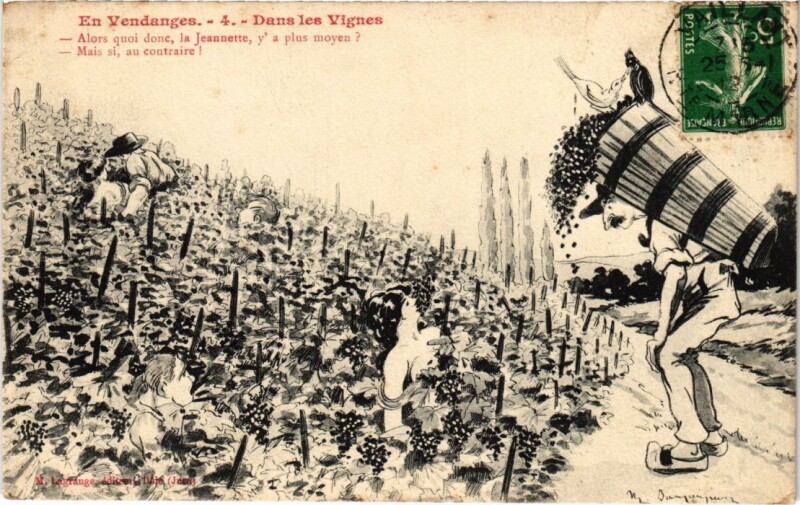 Carte postale ancienne Dans les Vignes France