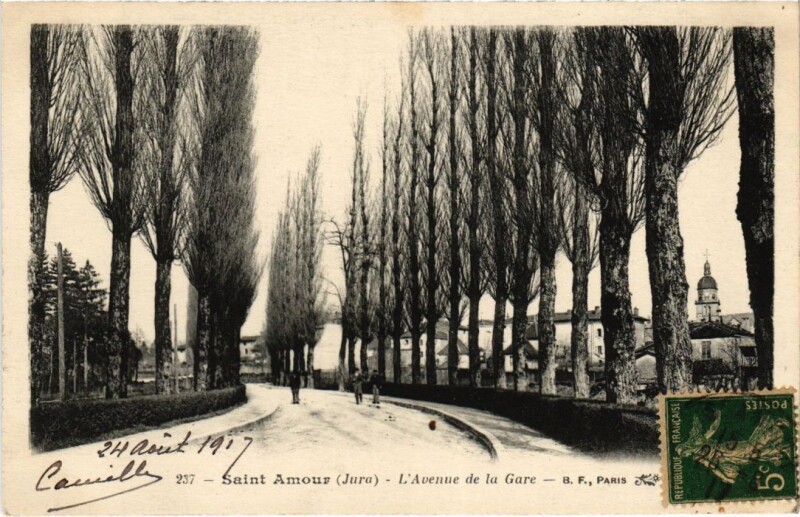 Carte postale ancienne Saint Amour- Avenue de la Gare France à Saint-Amour