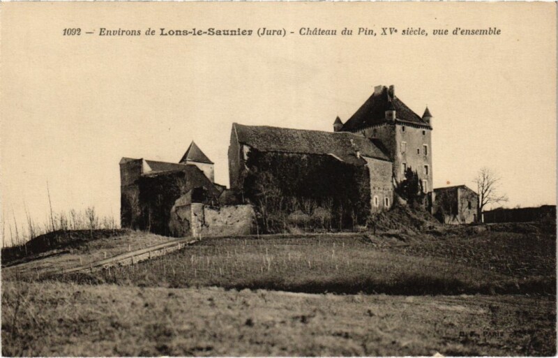 Carte postale ancienne Chateau du Pin France