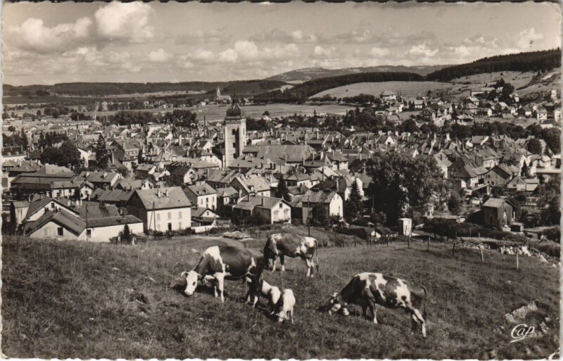 Carte postale ancienne Pontarlier - Les Paturages et la Ville à Pontarlier