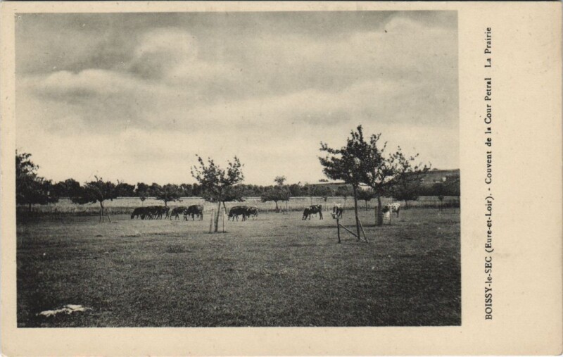 Carte postale ancienne Boissy-le-Sec -Couvent de la Cour Petral - La Prairie