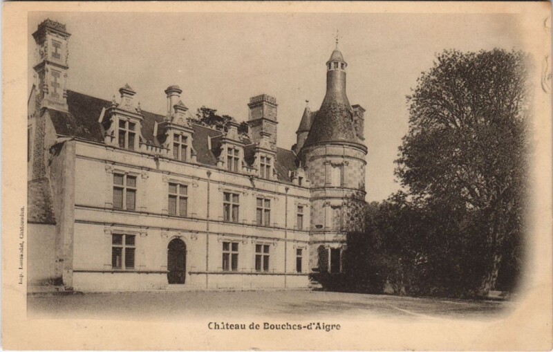 Carte postale ancienne Chateau de Bouches-d'Aigre