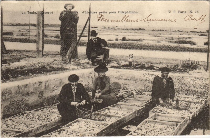 Carte postale ancienne La Teste - réservé d'Huitres prete pour l'Expédition