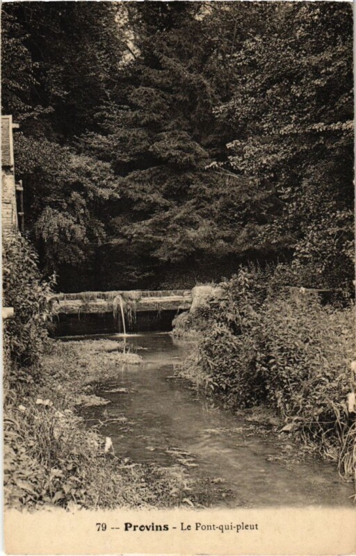 Carte postale ancienne Provins Le Pont qui pleut à Provins