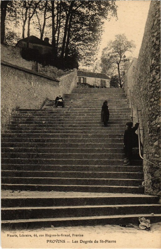 Carte postale ancienne Provins Les Degres de Saint-Pierre à Provins