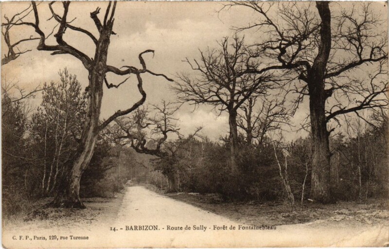 Carte postale ancienne Barbizon Fontainebleau - Route de Sully - Foret de Fontainebleau à Barbizon
