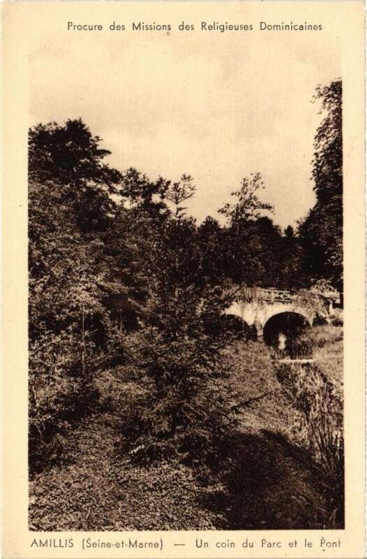 Carte postale ancienne Amillis Un Coin du Parc et le Pont à Amillis