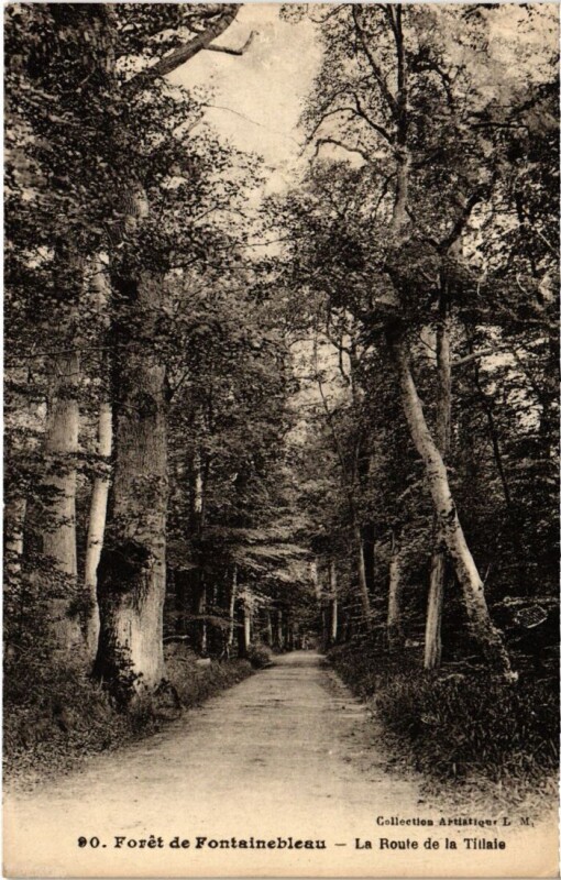 Carte postale ancienne Foret de Fontainebleau - La Route de la Tillaie à Fontainebleau