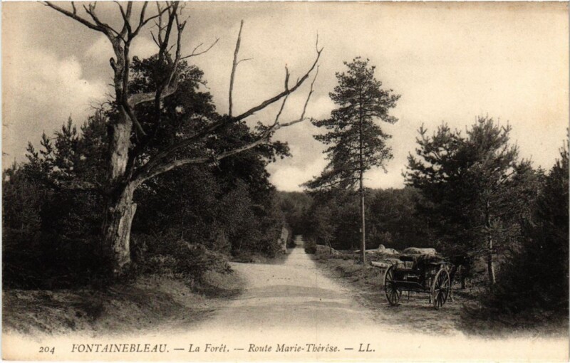 Carte postale ancienne Fontainebleau La Foret - Route Marie-Therese à Fontainebleau