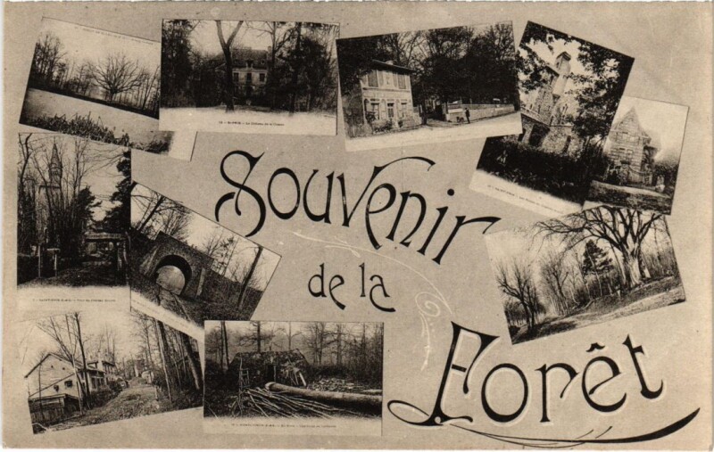 Carte postale ancienne Foret de Fontainebleau - Souvenir de la Foret - Scenes à Fontainebleau