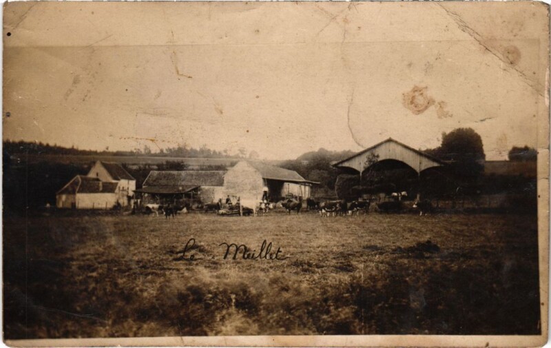 Carte postale ancienne Farm Scene