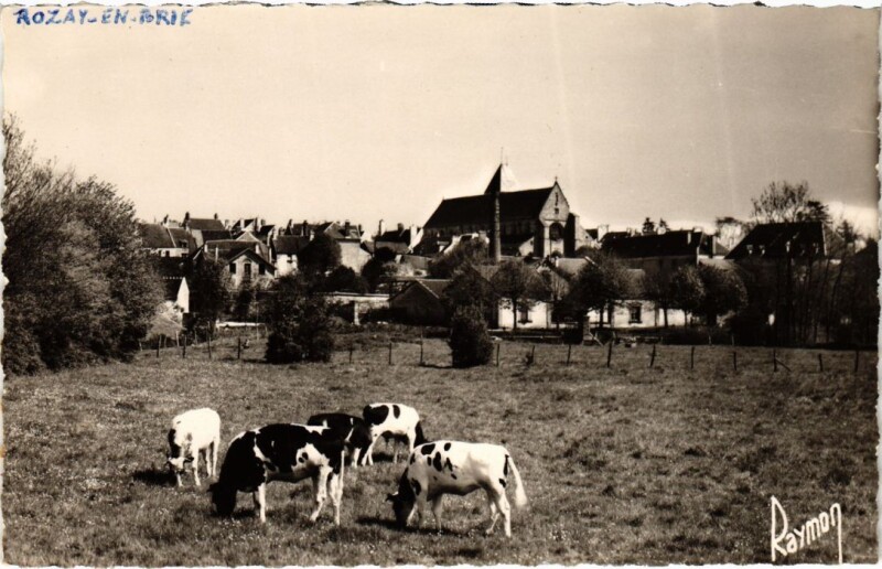 Carte postale ancienne Rozay-en-Brie Vue Generale à Rozay-en-Brie