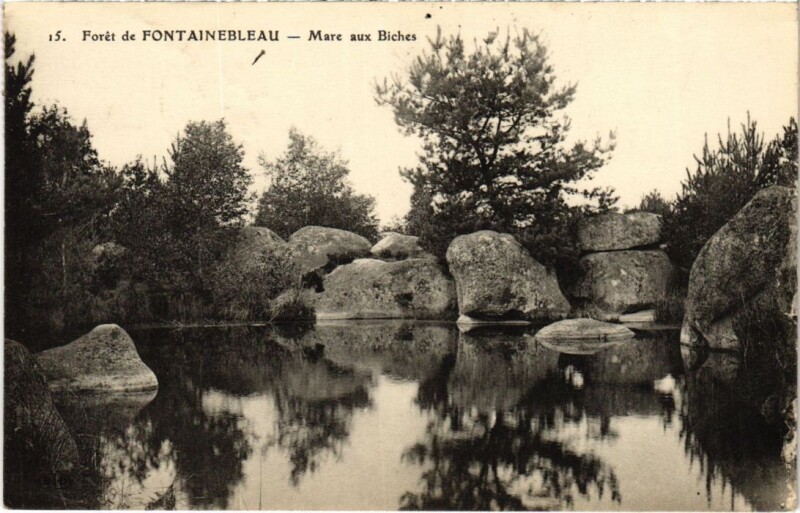 Carte postale ancienne Foret de Fontainebleau - Mare aux Biches à Fontainebleau