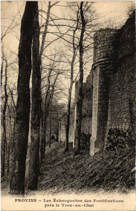 Carte postale ancienne Provins Les Echauguettes des Fortifications pres le Trou-au-Chat à Provins