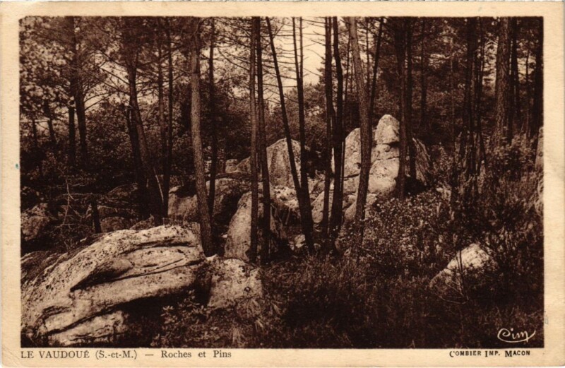 Carte postale ancienne Le Vaudoue Roches et Pins
