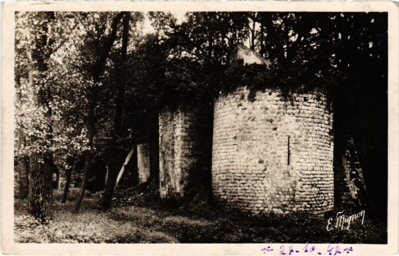 Carte postale ancienne Nangis Les Tours de l'Ancien Chateau Feodal à Nangis