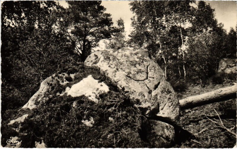 Carte postale ancienne Recloses Les Roches du Petit Puits à Recloses