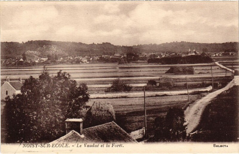Carte postale ancienne Noisy-sur-Ecole La Vaudue et la Foret