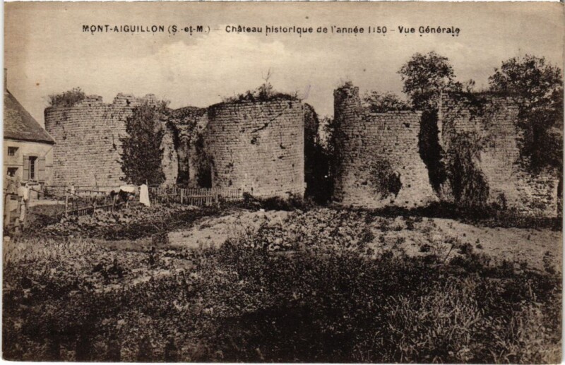 Carte postale ancienne Louan Mont-Aiguillon - Chateau - Vue Generale