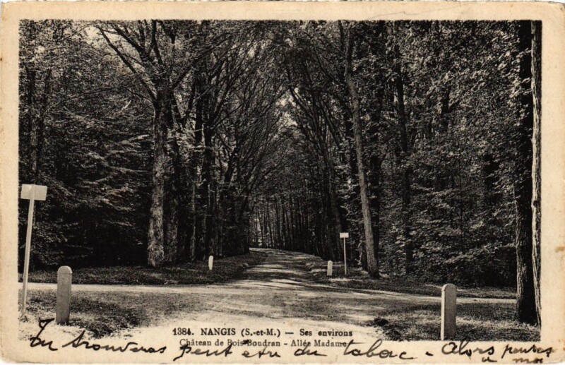 Carte postale ancienne Nangis Ses Environs - Chateau de Bois-Boudran - Allee Madame à Nangis