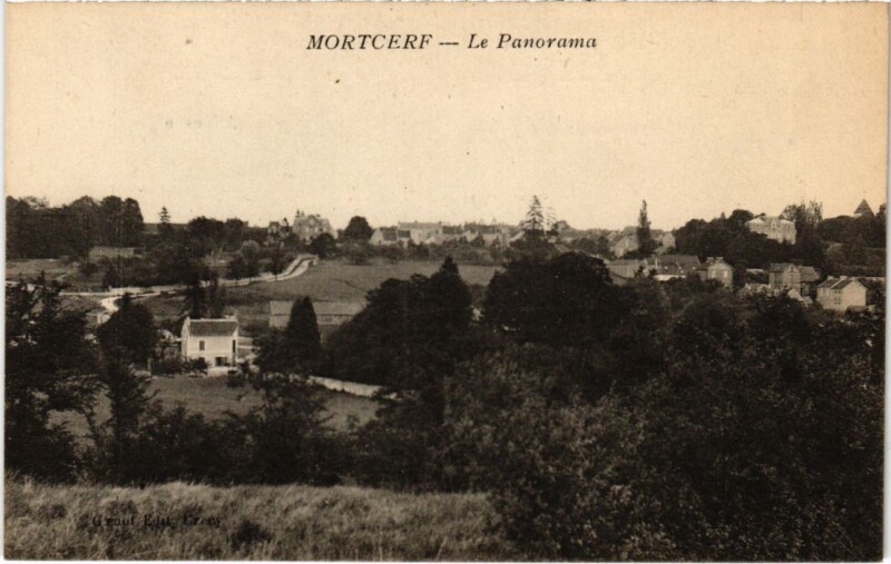 Carte postale ancienne Montcerf Le Panorama