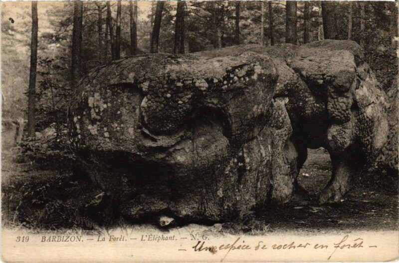 Carte postale ancienne Barbizon La Foret l'Elephant à Barbizon